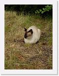 DSC00016 * 1536 x 2048 * (1.49MB)