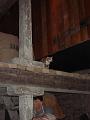 DSC00899