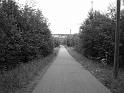 DSC00297